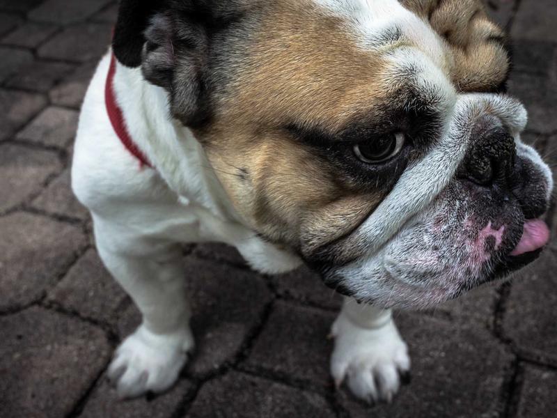 A massive server cluster illuminated by blue and cyan neon lights, visualizing data processing and analytics, futuristic, cinematic lighting, no people